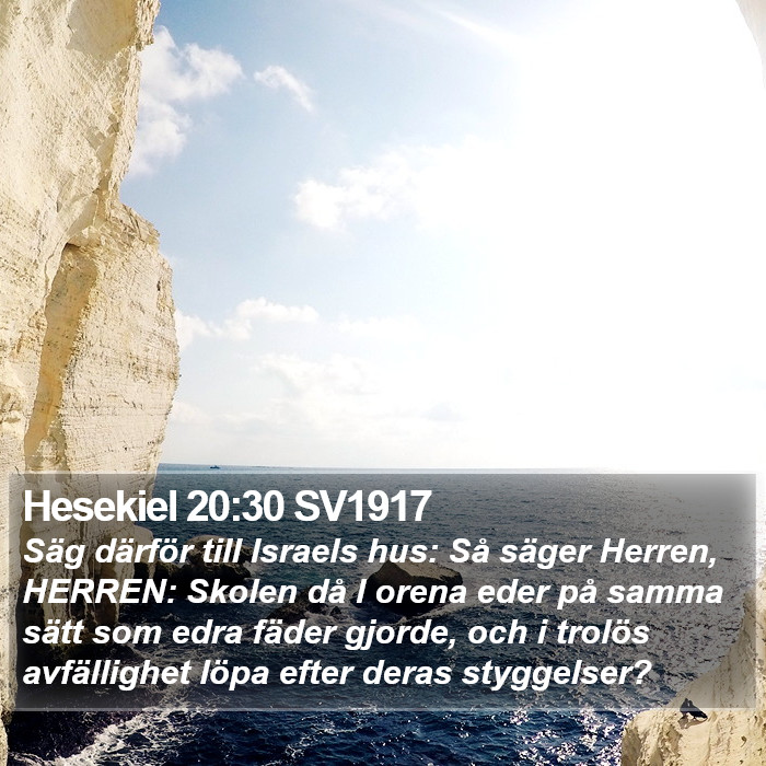 Hesekiel 20:30 SV1917 Bible Study