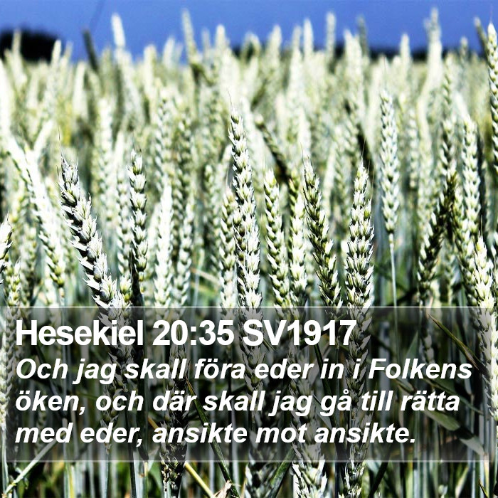 Hesekiel 20:35 SV1917 Bible Study