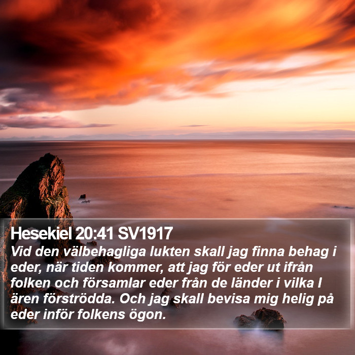 Hesekiel 20:41 SV1917 Bible Study