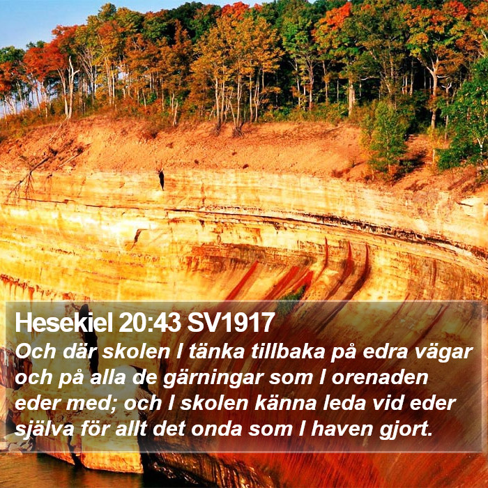 Hesekiel 20:43 SV1917 Bible Study