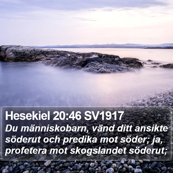 Hesekiel 20:46 SV1917 Bible Study