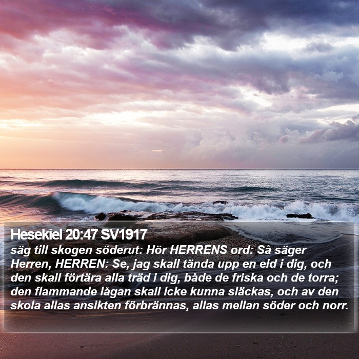 Hesekiel 20:47 SV1917 Bible Study