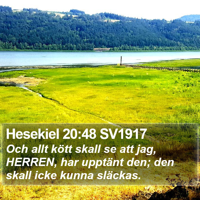 Hesekiel 20:48 SV1917 Bible Study