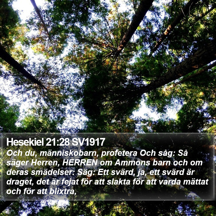 Hesekiel 21:28 SV1917 Bible Study