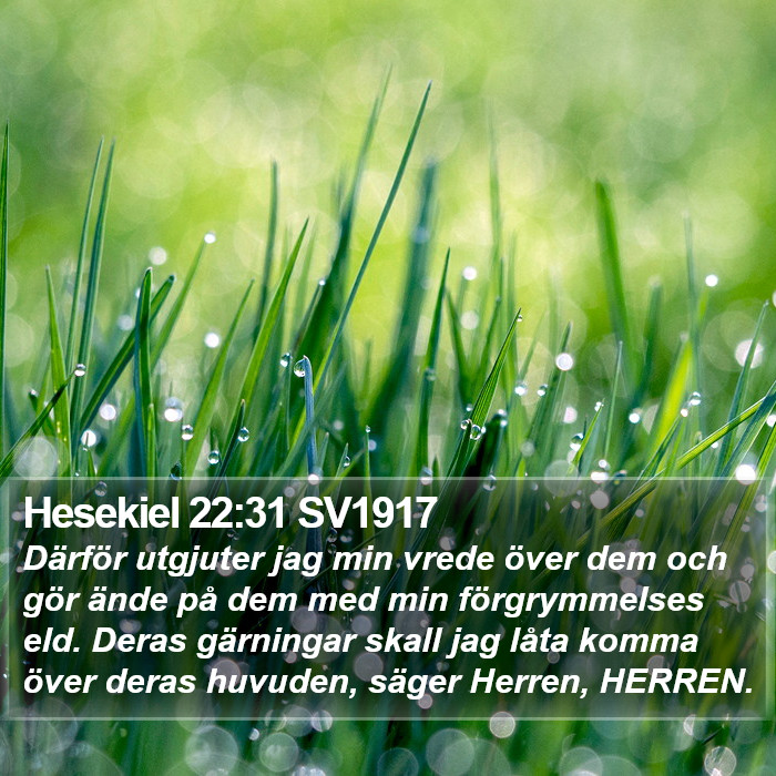 Hesekiel 22:31 SV1917 Bible Study