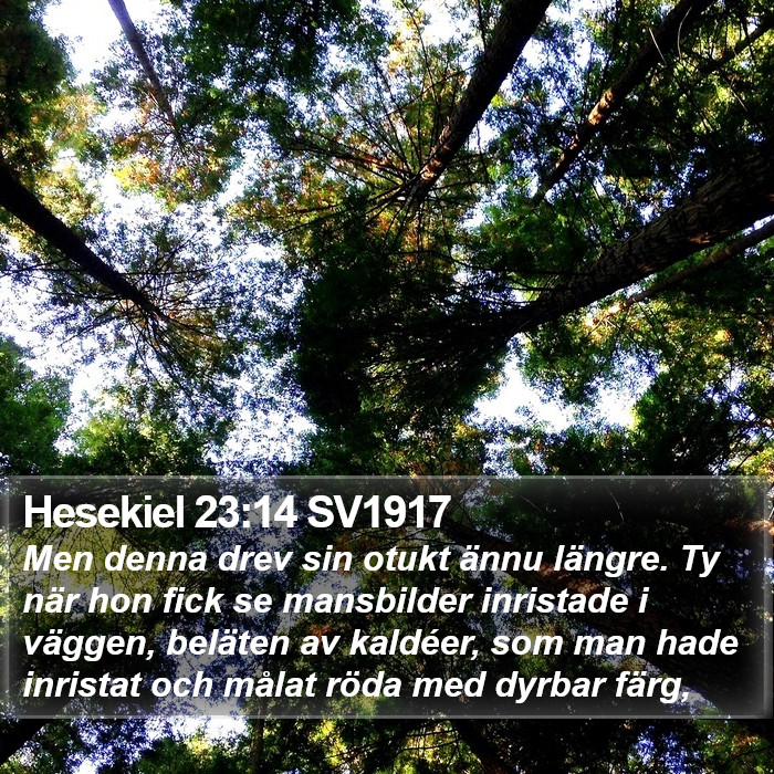 Hesekiel 23:14 SV1917 Bible Study