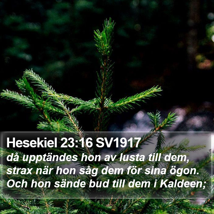 Hesekiel 23:16 SV1917 Bible Study