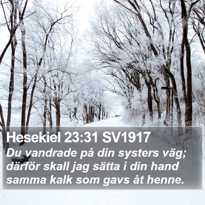 Hesekiel 23:31 SV1917 Bible Study