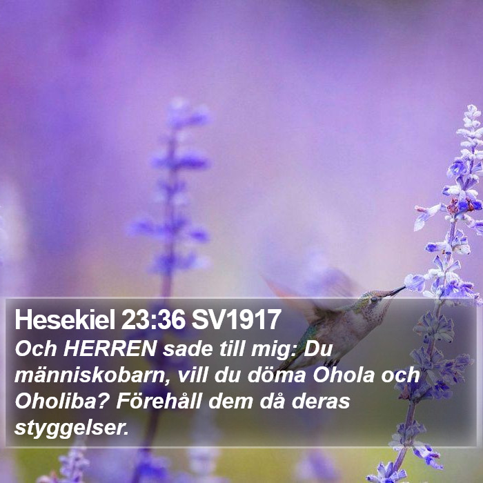 Hesekiel 23:36 SV1917 Bible Study