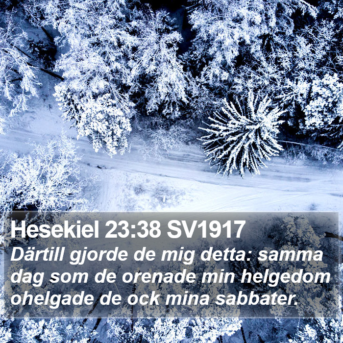 Hesekiel 23:38 SV1917 Bible Study