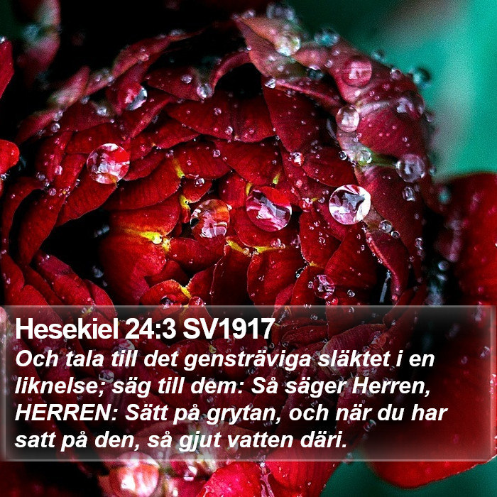 Hesekiel 24:3 SV1917 Bible Study