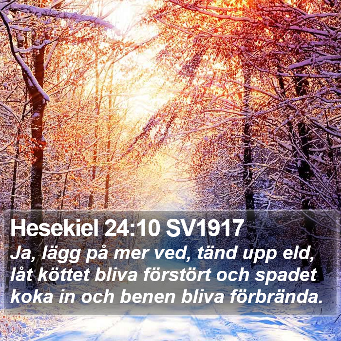 Hesekiel 24:10 SV1917 Bible Study