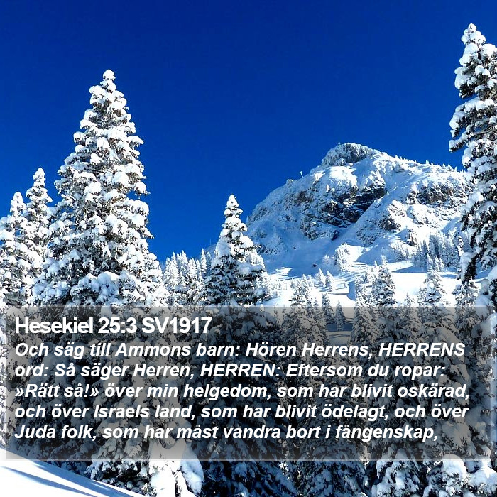 Hesekiel 25:3 SV1917 Bible Study