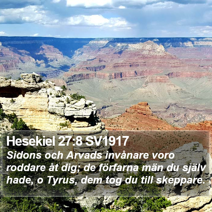 Hesekiel 27:8 SV1917 Bible Study