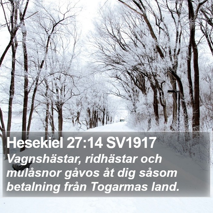 Hesekiel 27:14 SV1917 Bible Study