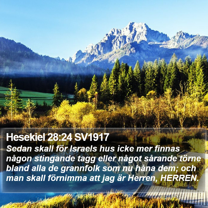 Hesekiel 28:24 SV1917 Bible Study