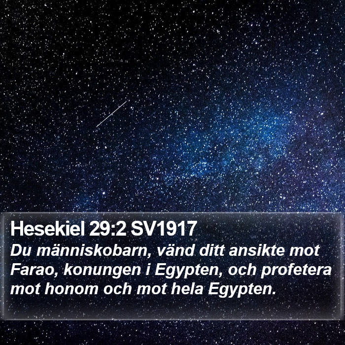 Hesekiel 29:2 SV1917 Bible Study