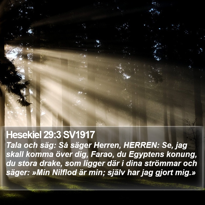 Hesekiel 29:3 SV1917 Bible Study