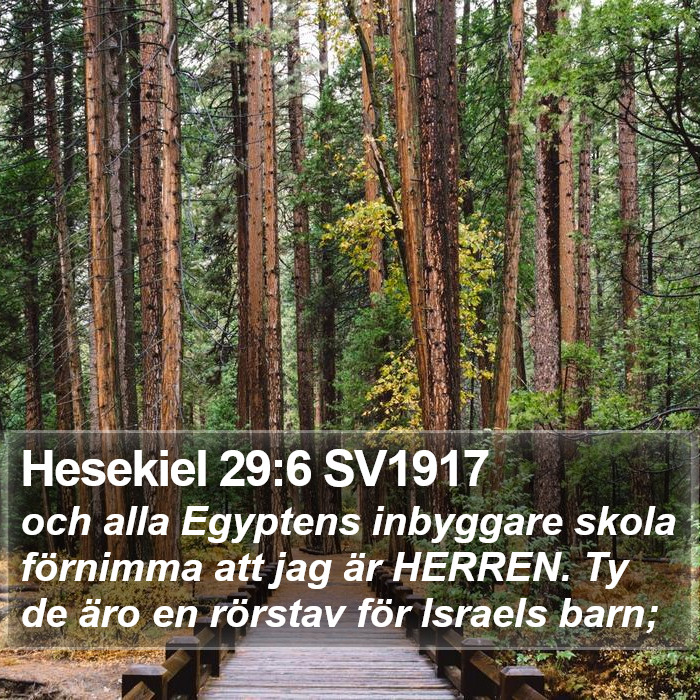 Hesekiel 29:6 SV1917 Bible Study