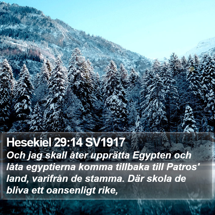 Hesekiel 29:14 SV1917 Bible Study