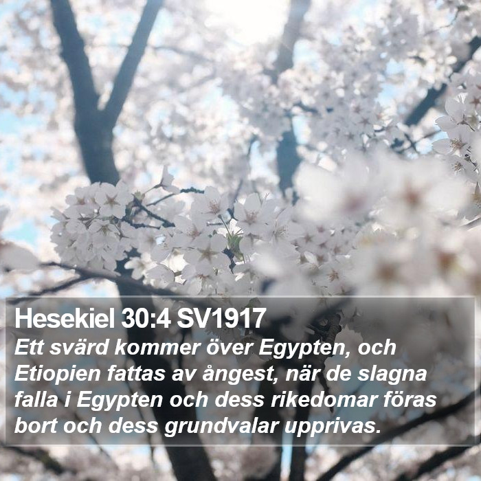 Hesekiel 30:4 SV1917 Bible Study