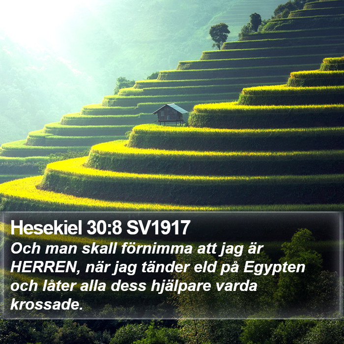 Hesekiel 30:8 SV1917 Bible Study