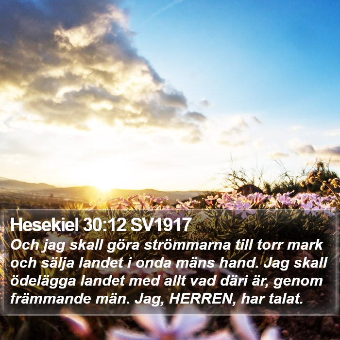 Hesekiel 30:12 SV1917 Bible Study