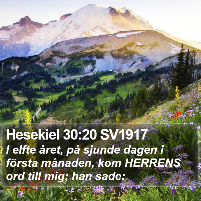 Hesekiel 30:20 SV1917 Bible Study