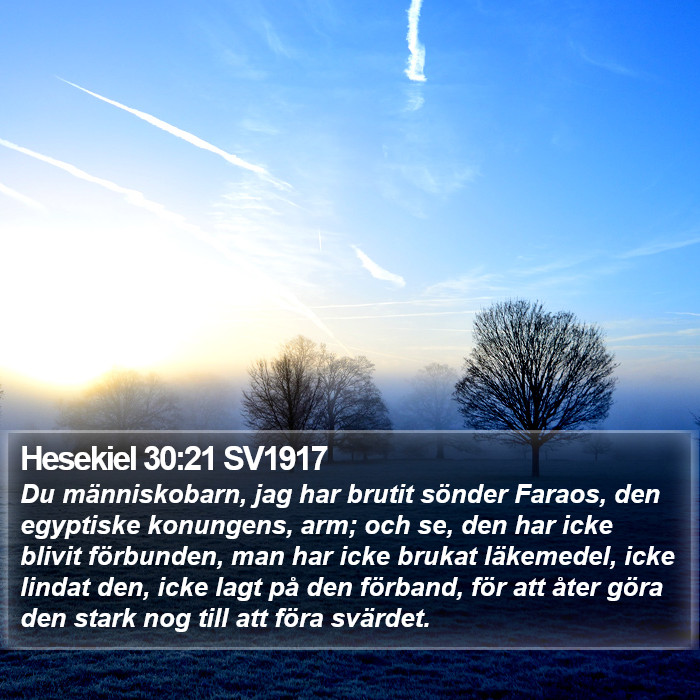 Hesekiel 30:21 SV1917 Bible Study