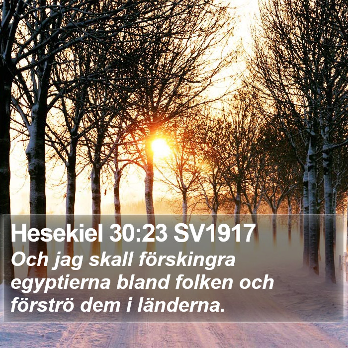 Hesekiel 30:23 SV1917 Bible Study