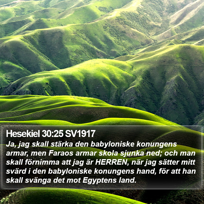 Hesekiel 30:25 SV1917 Bible Study