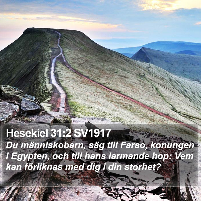 Hesekiel 31:2 SV1917 Bible Study