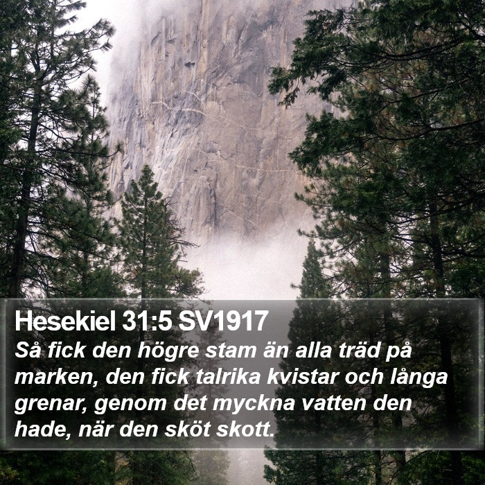 Hesekiel 31:5 SV1917 Bible Study