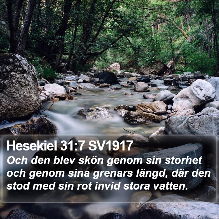 Hesekiel 31:7 SV1917 Bible Study