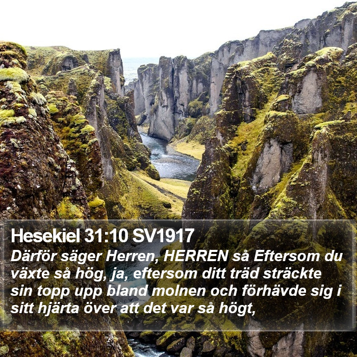 Hesekiel 31:10 SV1917 Bible Study