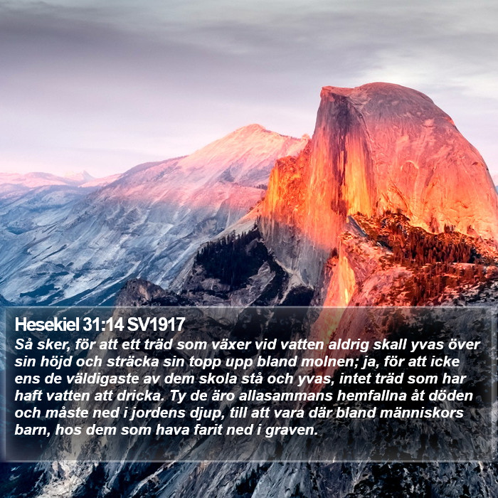 Hesekiel 31:14 SV1917 Bible Study