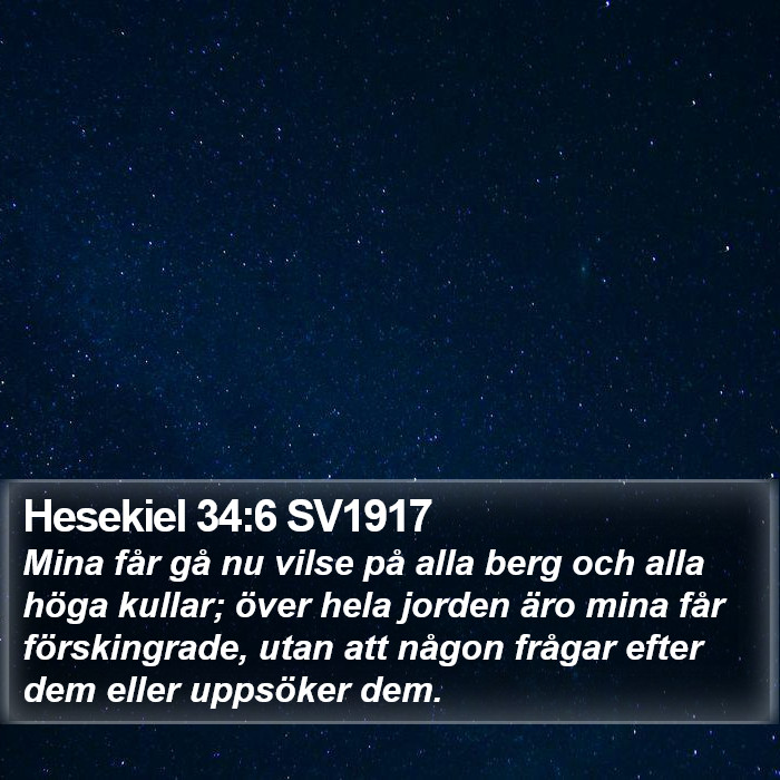 Hesekiel 34:6 SV1917 Bible Study