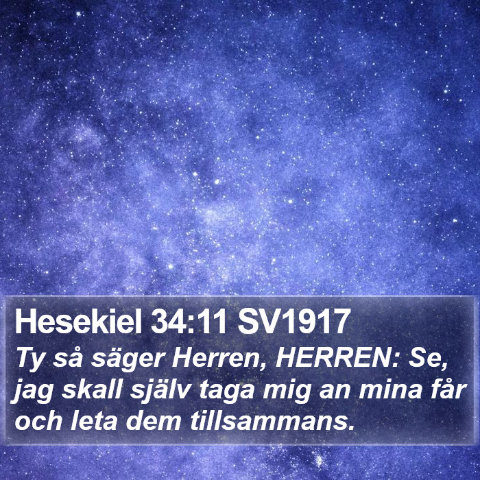 Hesekiel 34:11 SV1917 Bible Study