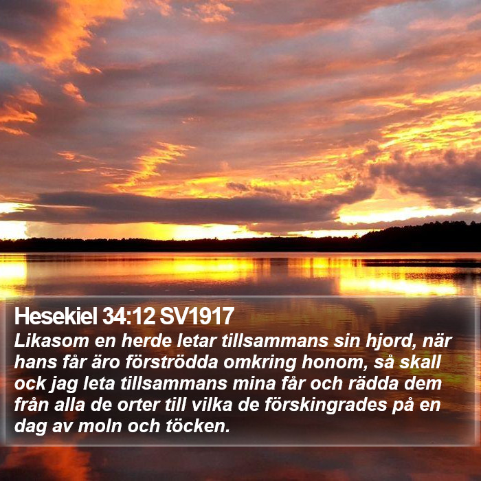 Hesekiel 34:12 SV1917 Bible Study