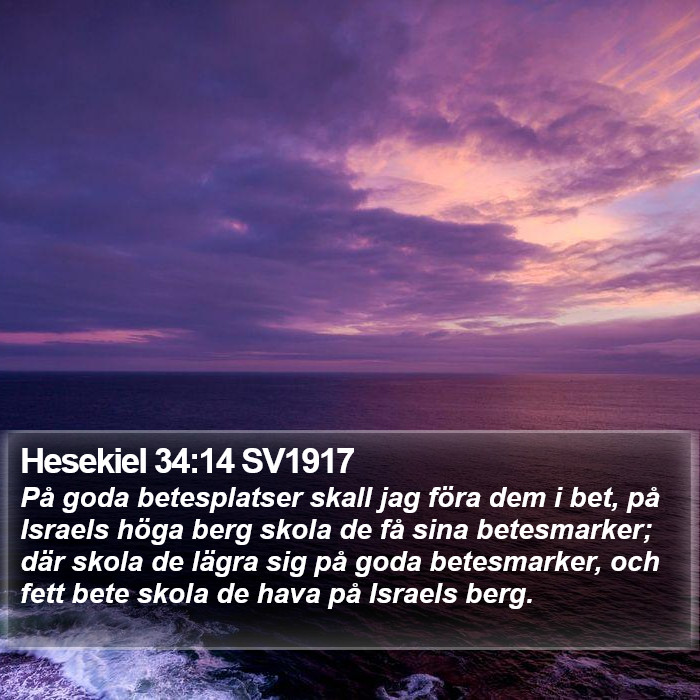 Hesekiel 34:14 SV1917 Bible Study