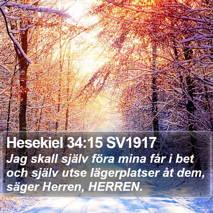 Hesekiel 34:15 SV1917 Bible Study