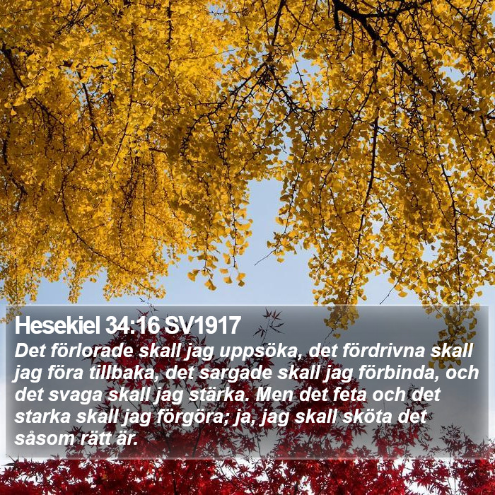 Hesekiel 34:16 SV1917 Bible Study