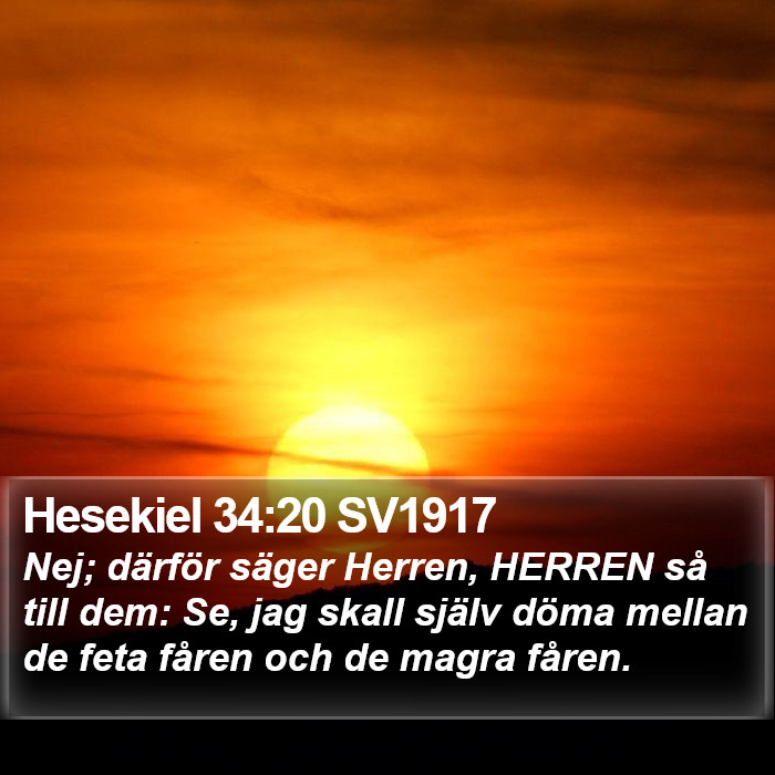 Hesekiel 34:20 SV1917 Bible Study