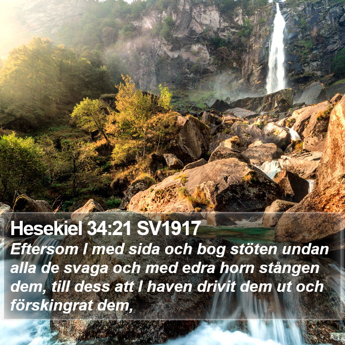 Hesekiel 34:21 SV1917 Bible Study