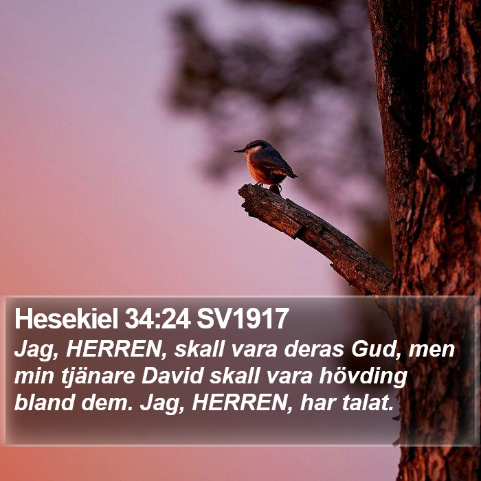 Hesekiel 34:24 SV1917 Bible Study