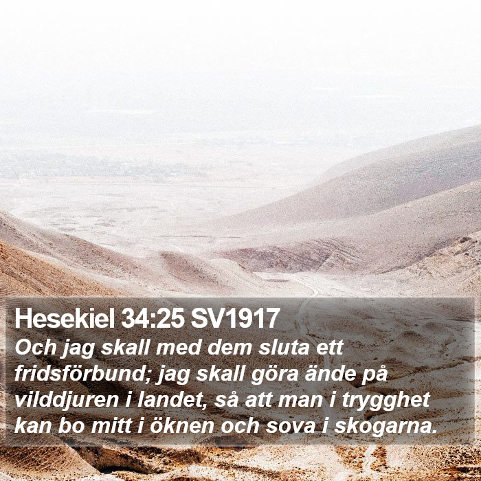 Hesekiel 34:25 SV1917 Bible Study