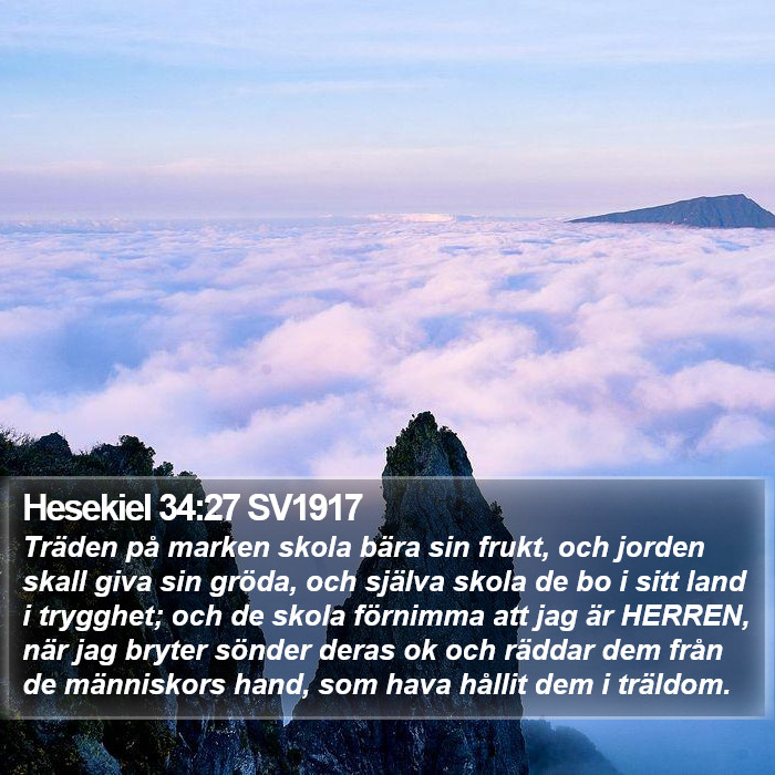 Hesekiel 34:27 SV1917 Bible Study