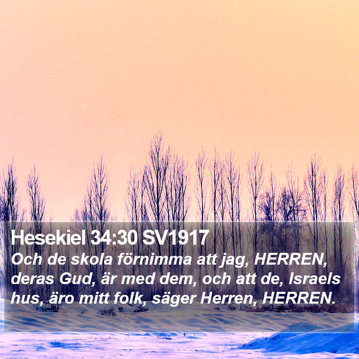 Hesekiel 34:30 SV1917 Bible Study