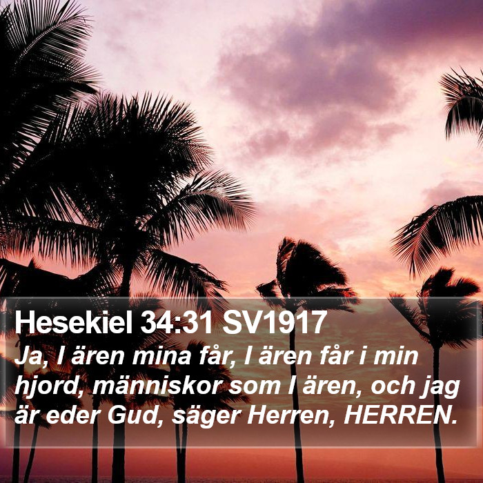 Hesekiel 34:31 SV1917 Bible Study