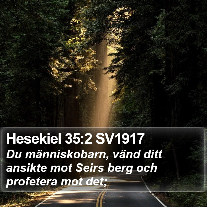 Hesekiel 35:2 SV1917 Bible Study